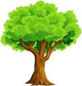 Tree Service, San Francisco
