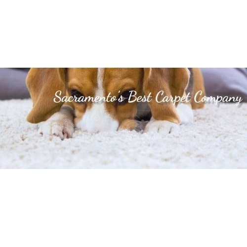  Profile Photos of Gold River Flooring America 98 Clarksville Rd, Ste 180 - Photo 3 of 4