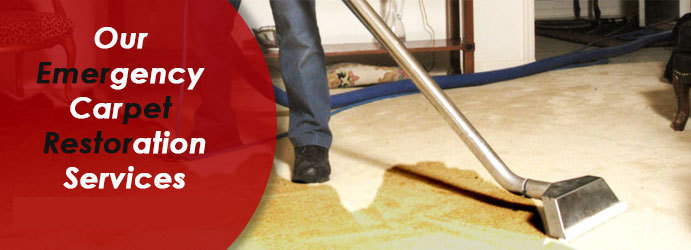  New Album of Back 2 New Flood Damage Restoration Melbourne Queenst - Photo 3 of 5