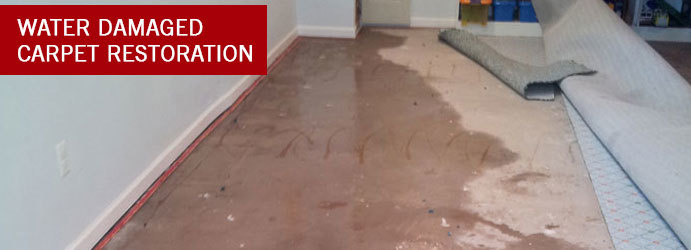  New Album of Back 2 New Flood Damage Restoration Melbourne Queenst - Photo 4 of 5