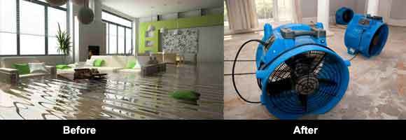  New Album of Master Cleaners Carpet Flood Damage Restoration Melbourne Queenst - Photo 1 of 5