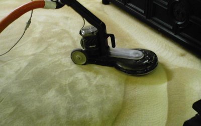  New Album of Master Cleaners Carpet Flood Damage Restoration Melbourne Queenst - Photo 4 of 5