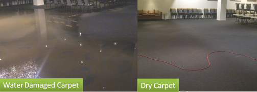  New Album of Master Cleaners Carpet Flood Damage Restoration Melbourne Queenst - Photo 5 of 5