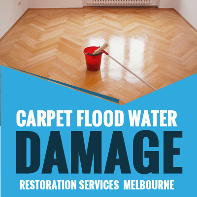  New Album of Sk Carpet Flood Water Damage Restoration Melbourne Queenst - Photo 3 of 3