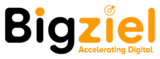 Bigziel, Chennai