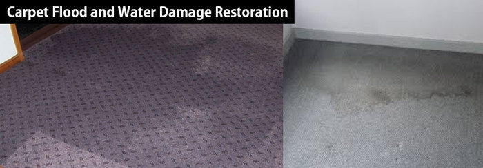  New Album of Squeaky Clean Water Damage Restoration Melbourne 1407/35 Albert Road - Photo 1 of 4