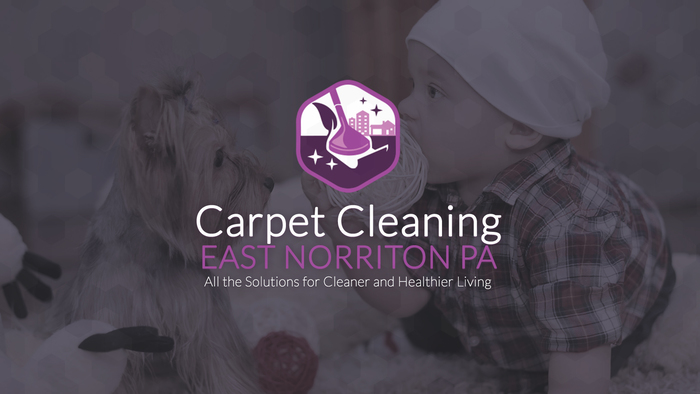  Profile Photos of Carpet Cleaning East Norriton PA 142 W Germantown Pike - Photo 1 of 1