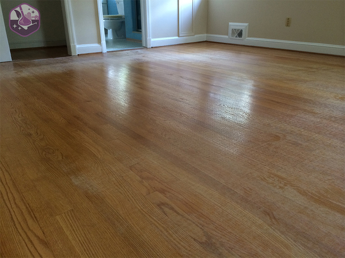  New Album of Carpet Cleaning East Norriton PA 142 W Germantown Pike - Photo 9 of 9