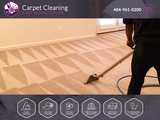  Carpet Cleaning East Norriton PA 142 W Germantown Pike 