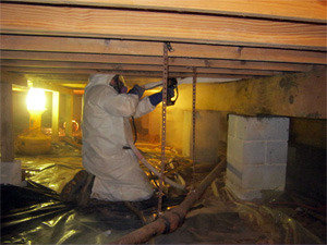  Profile Photos of Mold Inspection & Testing Alexandria VA 4316 Javins Dr. - Photo 2 of 3