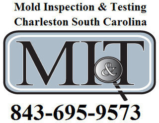  Profile Photos of Mold Inspection & Testing Charleston SC 1646 Green Bay Dr. - Photo 1 of 1
