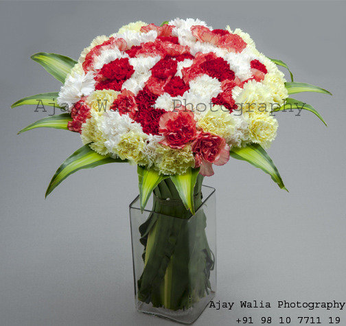  Profile Photos of Ajay Walia Photography D-8, Sector-27, Noida - Photo 1 of 22