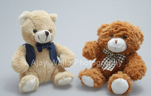  Profile Photos of Ajay Walia Photography D-8, Sector-27, Noida - Photo 10 of 22