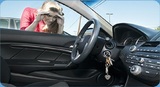 Auto-Lockout-Service-Plainfield-IL President Locksmith 1103 Smithville St 