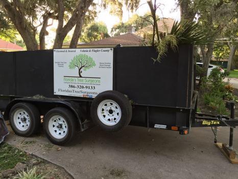  Profile Photos of Florida's Tree Surgeons 51 Rivershore Drive - Photo 2 of 4