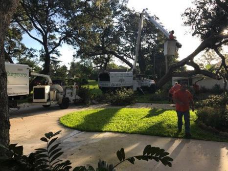  Profile Photos of Florida's Tree Surgeons 51 Rivershore Drive - Photo 4 of 4