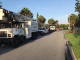 Florida's Tree Surgeons 51 Rivershore Drive 