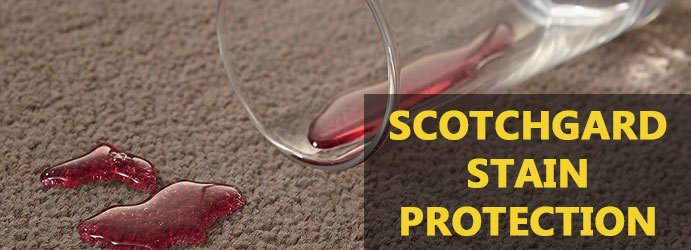  Profile Photos of Carpet Cleaning Brisbane 80 Albert St - Photo 9 of 9