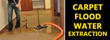  Carpet Cleaning Brisbane 80 Albert St 