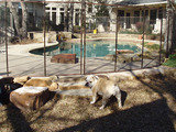 Guardian Pool Fence Systems, Inc., Van Nuys