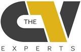 The CV Experts Logo, The CV Experts Ltd, London