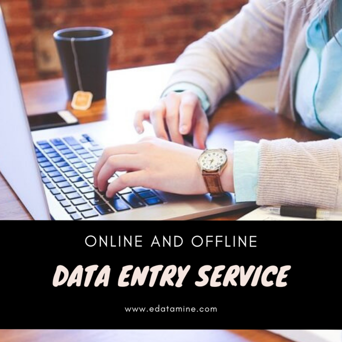 Offline and Online Data Entry Services Offline and Online Data Entry Services of EdataMine - Data Entry Services and Data Processing Services Company 682 Whitetail Lane - Photo 1 of 1