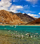  Ambala Car Rental, Tempo Traveller on Rent in Ambala 09988856787 Taxi Service in Ambala, Car Hire Ambala Near Rly Station 
