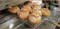  Profile Photos of Flour Power City Bakery Unit 5b, Elizabeth Industrial Estate, Juno Way - Photo 3 of 4