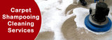 Carpet Dry Cleaning Melbourne, Melbourne
