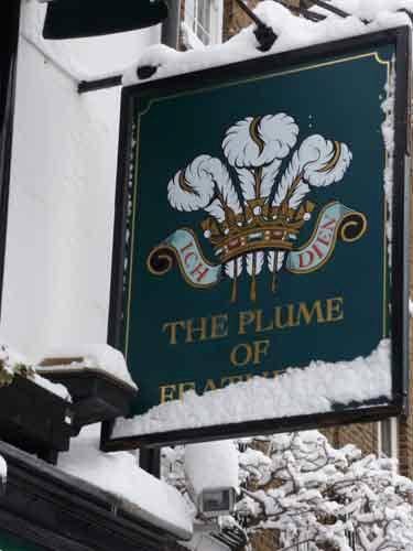  Profile Photos of Plume of Feathers 19 Park Vista - Photo 1 of 2